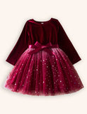 Christmas Velvet Star Tulle Dress