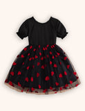 Valentine‘s Day Heart Print Tulle Dress