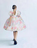 Bubble Sleeve Floral Tulle Party Dress