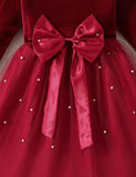 Velvet Bow Tulle Dress