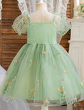 Bubble Sleeve Flower Embroidery Tulle Party Dress