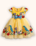 Flower Chick Applique Tulle Dress
